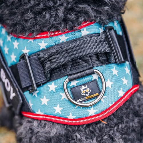DOGGYKINGDOM Personalized Dog Harness with Custom Name Patches, Adjustable Reflective No Choke Dog Vest with Handle for Small Dogs and Growing Puppy, Black, XS - color: Black, size: XS (Chest: 16 - 20 in)
