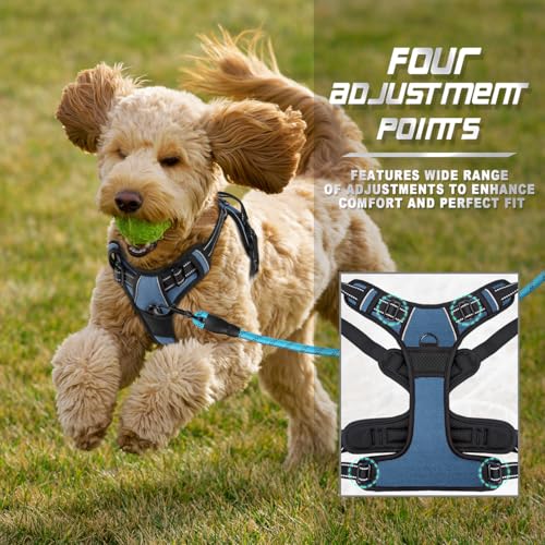 BARKBAY Dog Harness No Pull for Small Sized Dog Front Back Clips,Dog Vest - color: Navy, size: X-Small(Chest:15.5-19.5”)