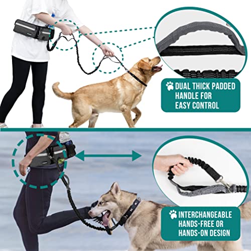 PetAmi Hands Free Dog Leash with Waist Running Belt Bag, Double (Charcoal) - color: Charcoal Grey, size: 2 Leashes
