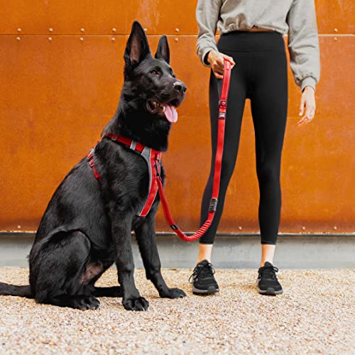 EzyDog X-Link Dog Harness, No Pull Design with Front D-Ring - Medium, Black - color: Black, size: Medium