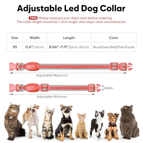 Flashseen LED Dog Collar, Light Up Dog Collar USB Rechargeable, Red, XS - color: Red, size: X-Small