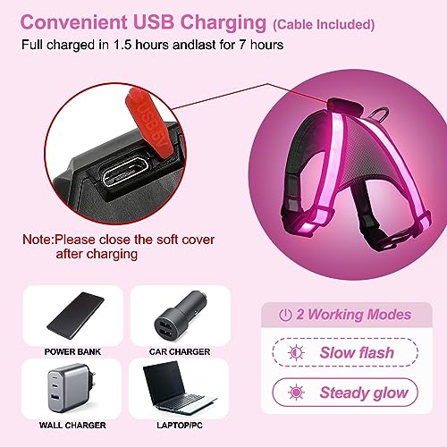 Visinite LED Dog Harness, USB Rechargeable Light Up Dog Vest, 2 Illuminate Modes Glow in The Dark Dog Harness, Adjustable Lighted Pet Harness Light for Night Walking Safety (Pink, L) - color: Pink, size: Large