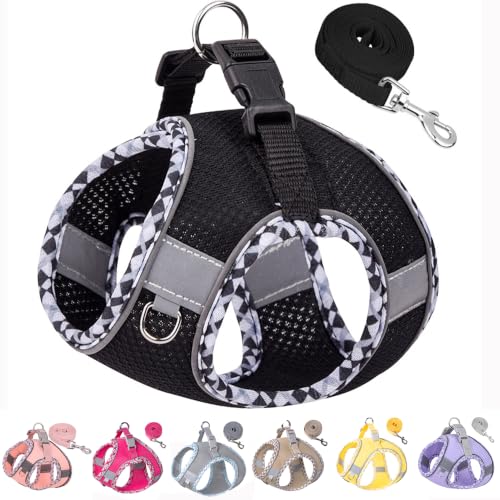 Petank Step in Dog Harness No Pull and Leash for Small Medium Dogs Cats. - color: Black, size: XXXS