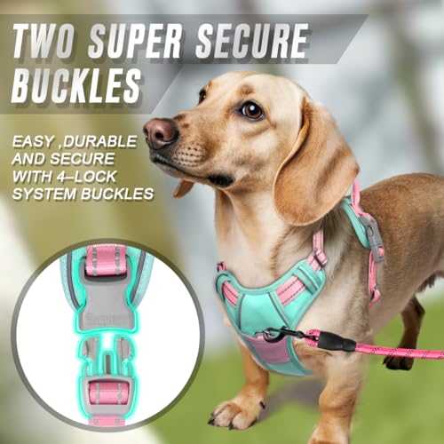 BARKBAY Dog Harness No Pull for Small Sized Dog Front Back Clips,Dog Vest - color: Cool Mint & Baby Pink, size: X-Small(Chest:15.5-19.5”)