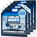 Cooler Shock Reusable Ice Packs for Cooler - Long Lasting Cold Freezer Packs for Coolers and Lunch Boxes - Cooler Ice Packs for Camping Gear, Fishing, Road Trips, Beach Must Haves - style: Medium - With Handle - 4pk