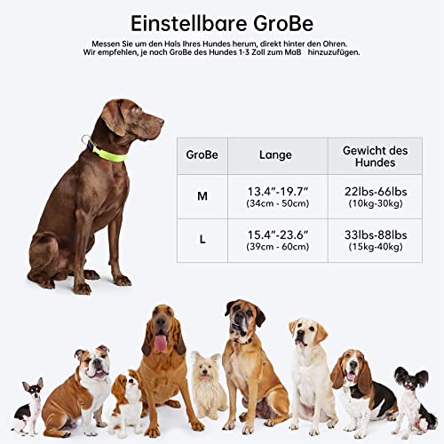 Light Up Dog Collar, Rechargeable USB Collar, Waterproof, Luminous LED Collar, Adjustable, Super Bright, Night Walking for Small Medium Large Dogs, Green, M - color: Green, size: Medium