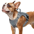 rabbitgoo Tactical Dog Harness for Small Dogs, No Pull Service Pet Vest - color: Grey, size: S(Chest:16.1"-31.5",Neck:15.4"-21.6",Back:7.1")