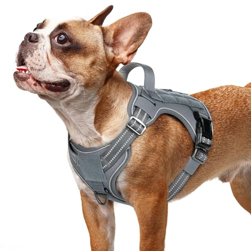 rabbitgoo Tactical Dog Harness for Small Dogs, No Pull Service Pet Vest - color: Grey, size: S(Chest:16.1"-31.5",Neck:15.4"-21.6",Back:7.1")