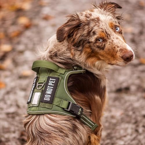 rabbitgoo Tactical Dog Harness for Large Dogs, No Pull Service Pet Vest - color: Red, size: Xl(chest:23.6"-41.8",neck:21.7"-32.3",back:9.1")