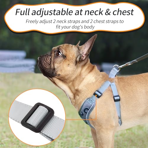 Dog Harness with Leash Set, No Pull Adjustable Step in Pet Vest - color: Gray-2, size: Medium