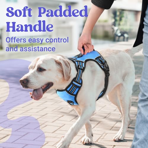 rabbitgoo Large Dog Harness, Easy Wear with 3 Buckles and Lift Handle - color: Light Blue, size: Large