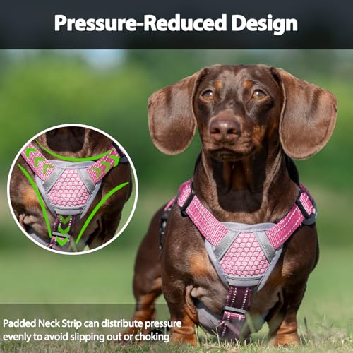 Huntboo Escape Proof Dog Harness, Dachshund Harness, Reflective Dog Harness with Handle, Durable,Adjustable Vest for Small Medium Large Dogs Walking, Training, and Running Gear (Pink,M) - color: Pink, size: Medium(Pack of 1)
