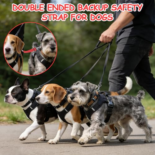 YUEPET Dog Safety Collar Clips 2 Pack Adjustable Prong Collar Backup Clips - color: Red+Blue