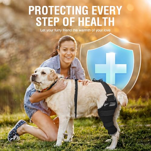 Dog Knee Brace M, Hind Leg Support with Hot & Cold Gel Pack - size: M