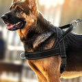 No Pull Dog Harness Heavy Duty Reflective Adjustable Padded Pet Vest for Medium Large Dogs Walking Training Running(L) - size: L