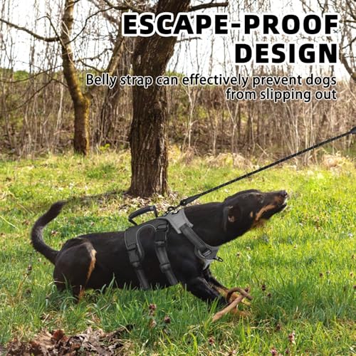 PUPTECK Escape Proof Dog Harness and Leash Set Upgraded No Pull Reflective Dog Vest with Lift Handle, Easy Control Pet Harness for Medium Large Dogs Training Walking Running - color: Grey/Black, size: Large