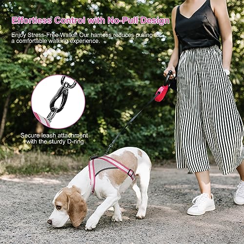 Visinite LED Dog Harness, USB Rechargeable Light Up Dog Vest, 2 Illuminate Modes Glow in The Dark Dog Harness, Adjustable Lighted Pet Harness Light for Night Walking Safety (Pink, S) - color: Pink, size: Small