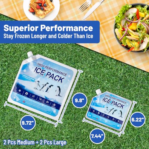 Reusable Ice Packs for Cooler, Freezer Ice Packs for Lunch Boxes, Cooler Ice Packs for Camping Gear, Fishing - size: 2 Medium + 2 Large
