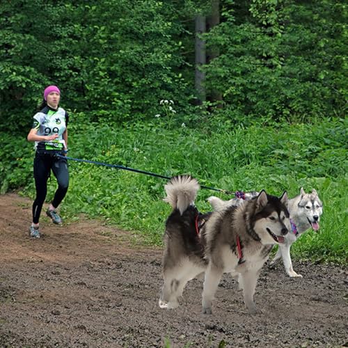 Dog Sled Harness Waterproof Nylon with Reflective Strips Durable Running Harness for Large Dogs (Red, 3XL) - color: Red, size: 3XL
