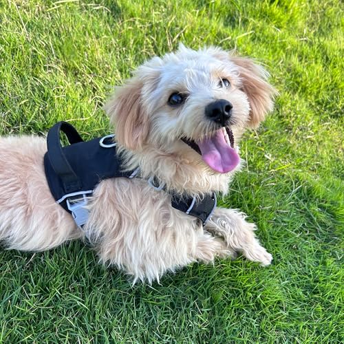 Mile High Life No Pull Dog Harness with Reflective Stripe, Adjustable Easy Get on Lightweight Harness for Small Medium Large Dogs Walking Running Training (Black, S Chest 14"-20") - color: Black, size: S Chest 14"-20"