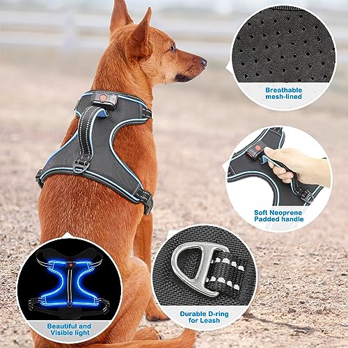 LED Light Dog Harness, X-Large, Black-Blue, No-Pull, Rechargeable, for Large Dogs - color: Black-Blue, size: XL