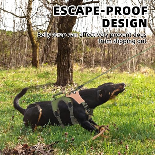 PUPTECK Escape Proof Dog Harness and Leash Set Upgraded No Pull Reflective Dog Vest with Lift Handle, Easy Control Pet Harness for Medium Large Dogs Training Walking Running, Green, L - color: Green/khaki, size: Large