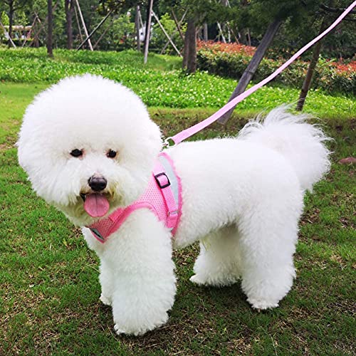 FEimaX Dog Harness and Leash Set for Walking, Soft Mesh Adjustable Easy Control Lightweight Cat Vest Harnesses with Reflective Strips, Escape Proof Small Dogs Cats Vests - color: Pink, size: XXS