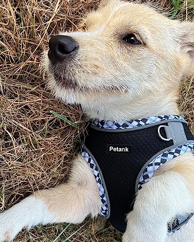 Petank Step in Dog Harness No Pull and Leash for Small Medium Dogs Cats. - color: Black, size: XXS