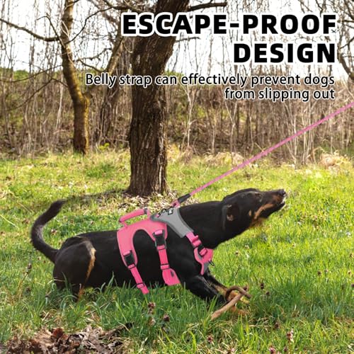 PUPTECK Escape Proof Dog Harness and Leash Set Upgraded No Pull Reflective Dog Vest with Lift Handle, Easy Control Pet Harness for Medium Large Dogs Training Walking Running, Fuchsia, L - color: Fuchsia/Grey, size: Large