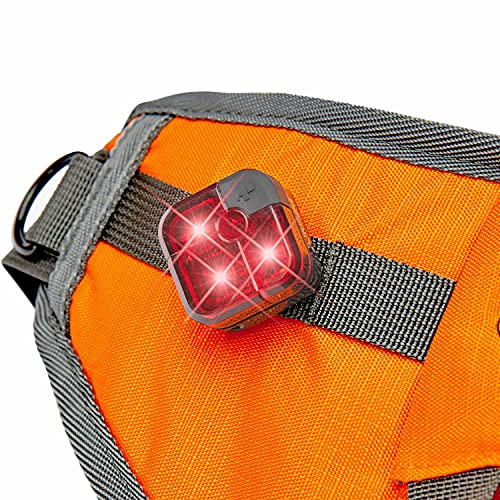 Blueberry Style Orange Bumbag Waist Bag Fanny Pack for Walking Running - Built-in Poop Bag Holder, Dog Treat Pouch, Adjustable Waistband, and Bottle Holder - color: 1 Pack Waist Bag - Orange