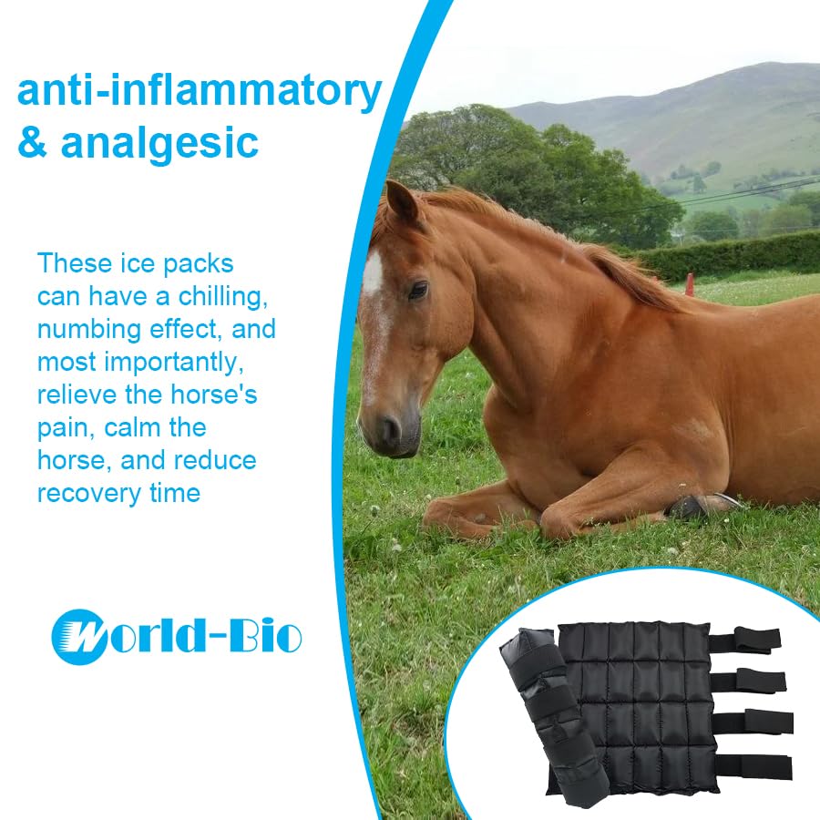 WORLD-BIO Horse Ice Boots, Cold Therapy Leg Wraps for Hocks/Ankles/Knees - Durable, Flexible, Universal Fit, Relieves Tendon Inflammation & Swelling, Post-Operative Recovery - Black - color: 16.9'' X 16.1'' 2 Packs - Black
