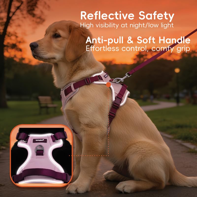 Dog Harness and Leash Set with Collar, No Pull Reflective Pet Vest Harness with Control Handle for Medium Large Dogs Walking and Training - color: Pink, size: XS(Neck:13.4-16.5",Chest:16.5-19.7")