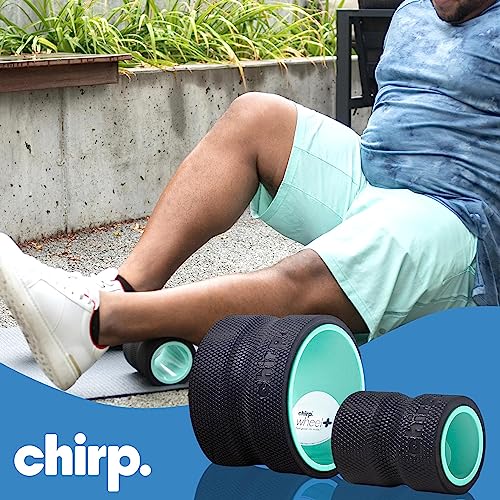 Chirp Wheel+ Foam Roller 2-Pack, Back & Neck Pain Relief, Mint - size: 2 Pack