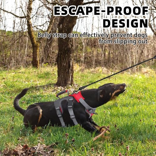 PUPTECK Escape Proof Dog Harness and Leash Set Upgraded No Pull Reflective Dog Vest with Lift Handle, Easy Control Pet Harness for Medium Large Dogs Training Walking Running - color: Red/Grey, size: Medium
