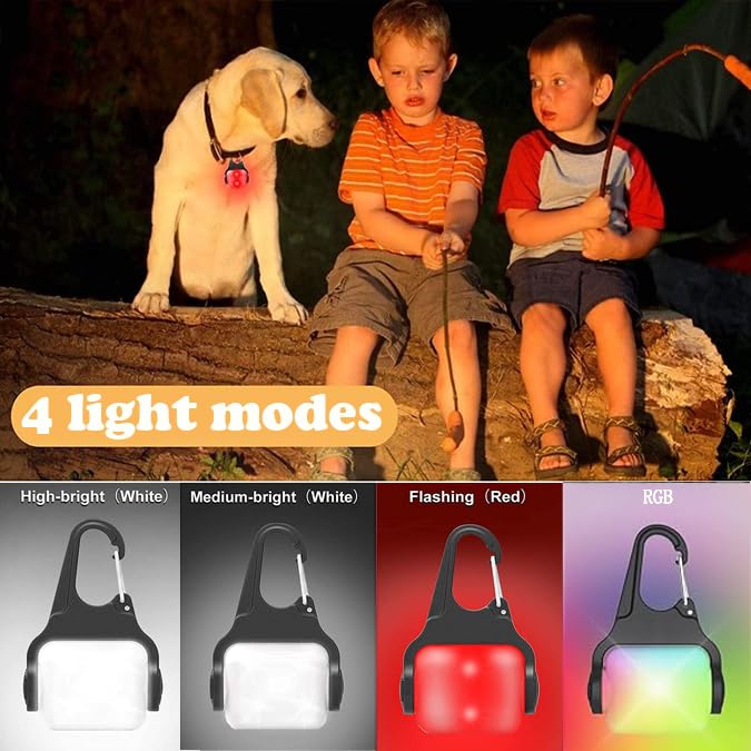 Dog Lights for Night Walking, Clip on Dog Collar Light - 3 Modes, USB-C Rechargeable, IP65 Waterproof, LED Safety Light for Running, Camping, Climbing, Bike - color: White-2pcs-4Modes