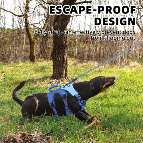 PUPTECK Escape Proof Dog Harness and Leash Set Upgraded No Pull Reflective Dog Vest with Lift Handle, Easy Control Pet Harness for Medium Large Dogs Training Walking Running, Blue, L - color: Blue/Sky, size: Large