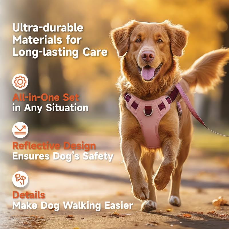 Dog Harness and Leash Set with Collar, No Pull Reflective Pet Vest Harness with Control Handle for Medium Large Dogs Walking and Training - color: Pink, size: XS(Neck:13.4-16.5",Chest:16.5-19.7")