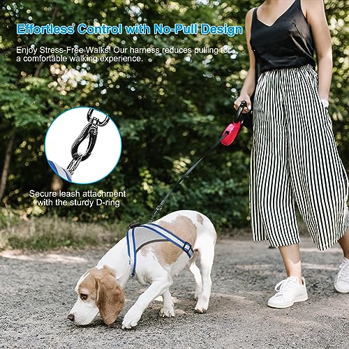 Visinite LED Dog Harness, USB Rechargeable Light Up Dog Vest, 2 Illuminate Modes Glow in The Dark Dog Harness, Adjustable Lighted Pet Harness Light for Night Walking Safety(Blue, L) - color: Blue, size: Large