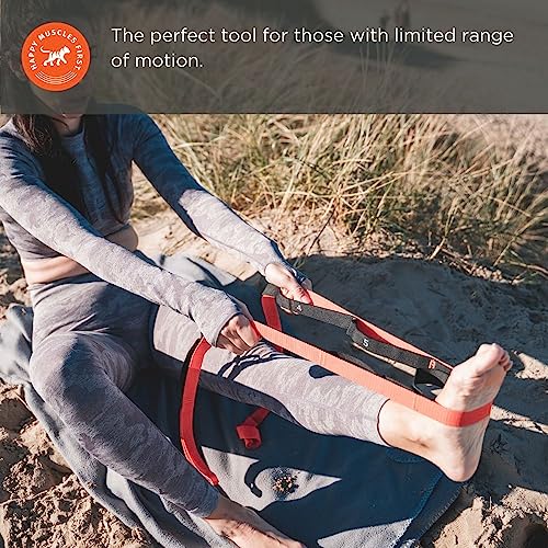 Tiger Tail Bundle: 11in Portable Massage Stick Portable Roller + The Big One Foam Roller + The Stretchy Tiger 80" Stretch/Yoga Strap