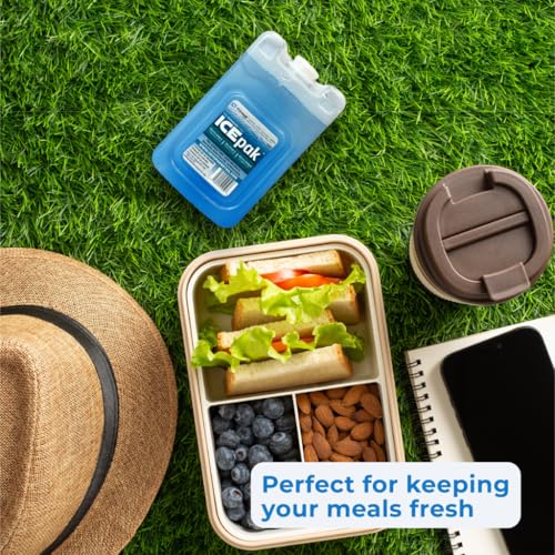 Cryopak ICEpak Hard Shell Reusable Ice Packs for Coolers and Lunch Box Use, Freezer Safe Gel Design, Professional Grade Cooling, Non-Toxic and BPA Free, Essential Travel Accessories - size: Lunch (4 Pack)