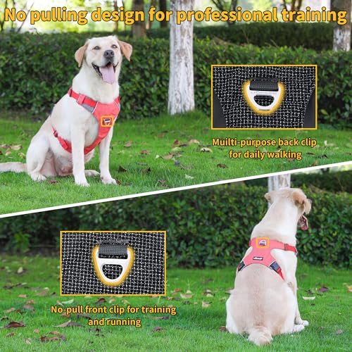 LIOPARD Dog Harness, Easy Walk Pet Harness No Pull with 2 Leash Clips, Reflective Running Soft Padded Adjustable Puppy Vest, Heavy Duty Seatbelt Harness for Car for Small Dogs (red, S)