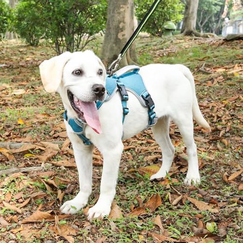 Escape Proof Dog Harness, No Escape No Pull Reflective Dog Harness with Durable Handle, Adjustable Heavy Duty Vest for Small Medium Large Dogs, Walking and Training (Blue,L) - color: Blue, size: L (Pack of 1)