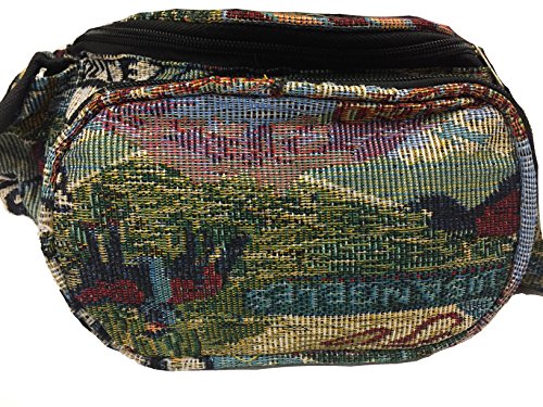 EXPLORER Fanny Pack