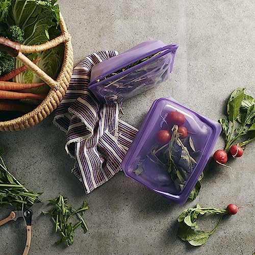Stasher Silicone Reusable Storage Bag, Stand-Up Mega Bag, Reusable Freezer Bags,Microwave,Dishwasher,Oven Safe,Sous Vide,Premium Lunch Container,Eco Friendly,Food Storage Bags,104 oz,Clear (Pack of 2) - size: Mega (Pack of 2)