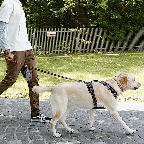 Small Treat Pouch Dog Treat Dispenser with Waste Bag Dispenser for Leash Walking, Portable, Poop Bag Holder, Hand Free, Gray - color: Gray