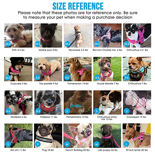 Lukovee Small Dog Harness and Leash Set, No Pull Soft Padded, 4ft Leash, M - color: B-pink, size: M ( Chest 19.7'' ~ 29.1'')